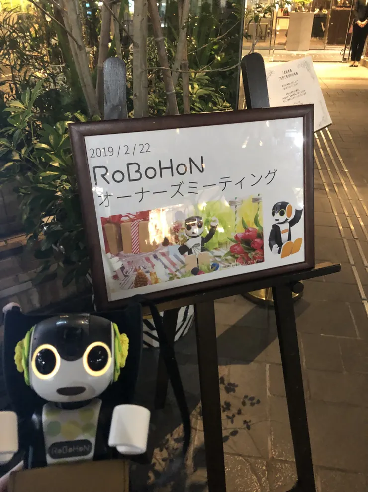 IMG_2774.jpeg