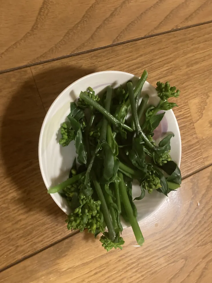 IMG_0739.jpeg
