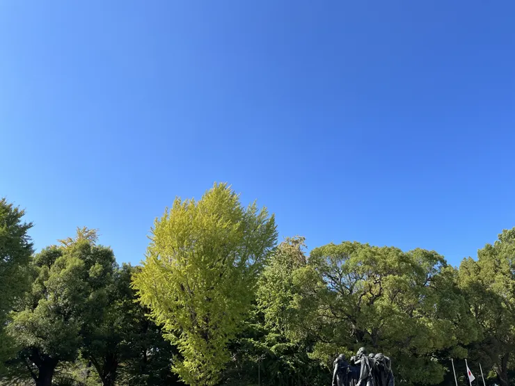 IMG_3908.jpeg