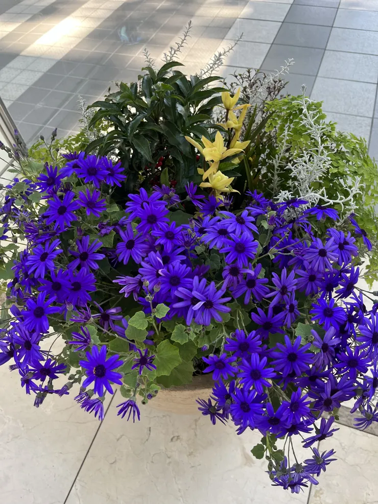 IMG_4207.jpeg