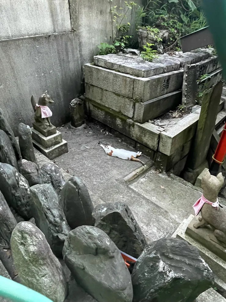 image0.jpeg