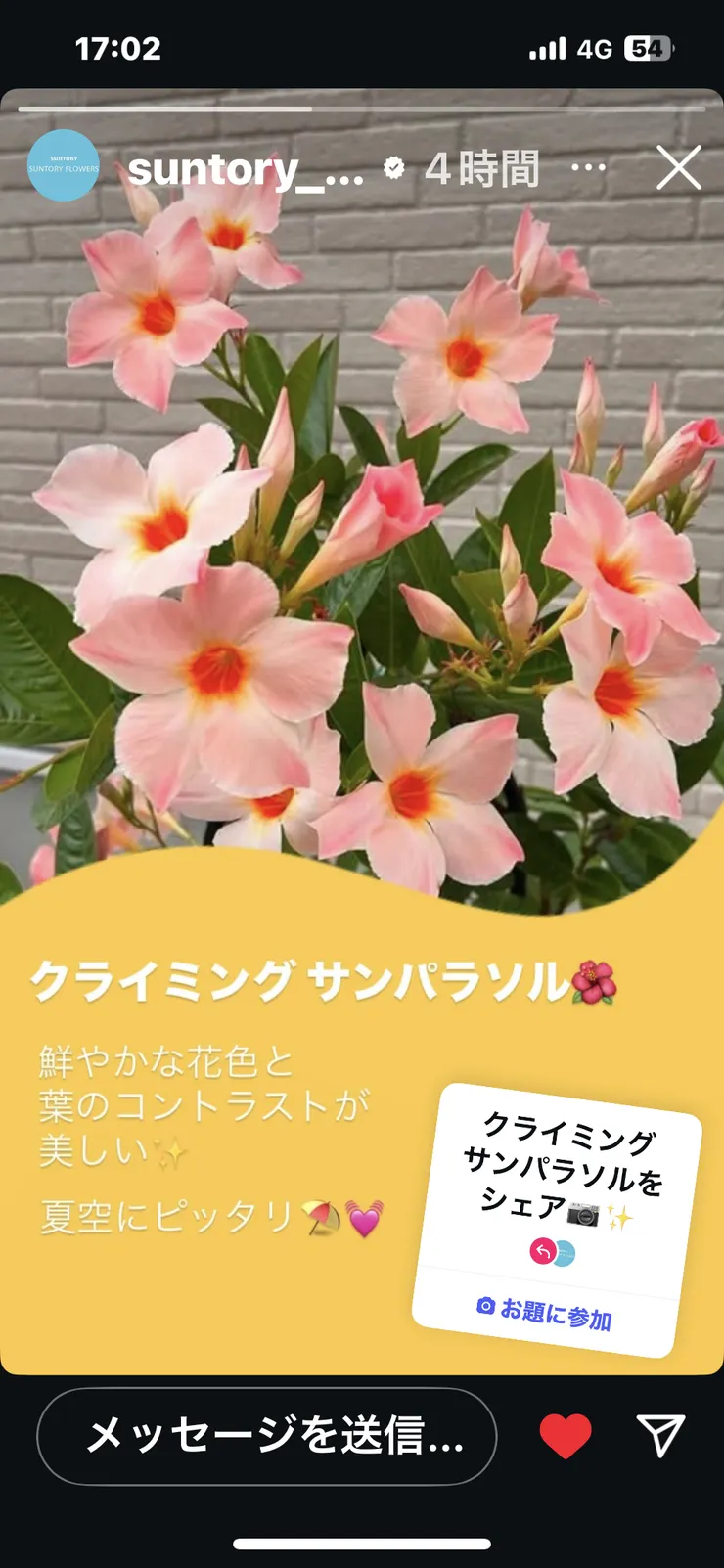IMG_8620.png