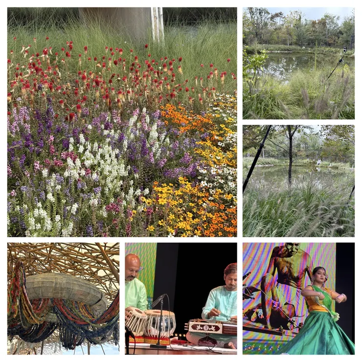 590F5106-15EA-4BCA-8F7E-10342CD60D87-COLLAGE.jpeg