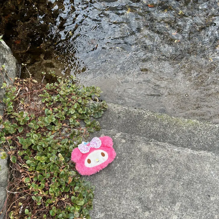 bookhunt - 1 (1).jpeg