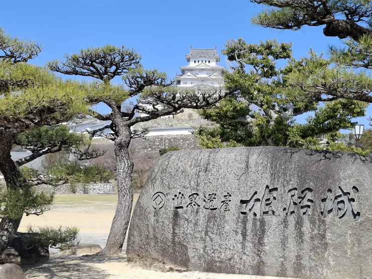 2025-03-10 12.39.21.jpg