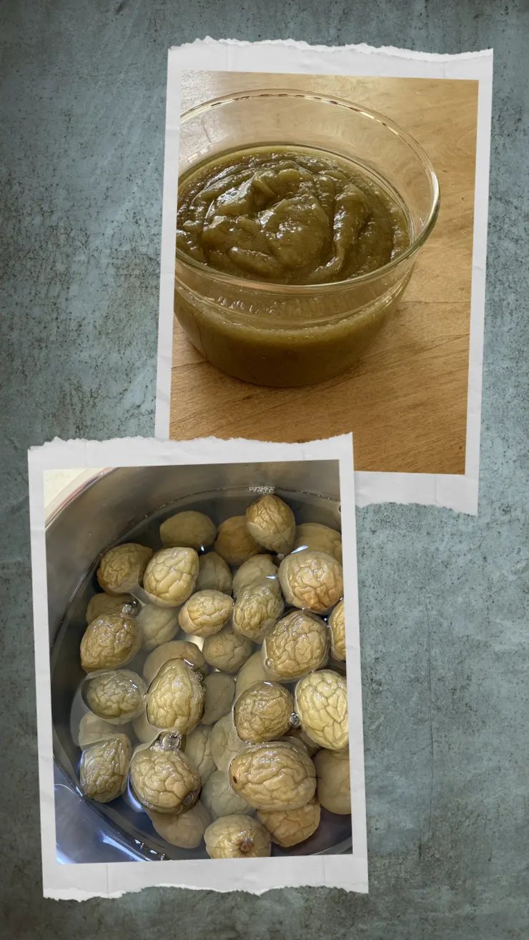 8FEFEE11-1BA7-4DB7-90A2-6AD6C8D068D9-COLLAGE.jpeg