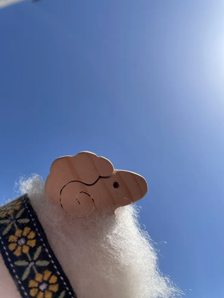 image.jpg