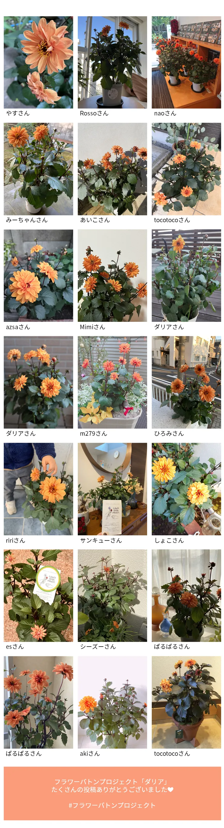 投稿まとめ - コピー.png