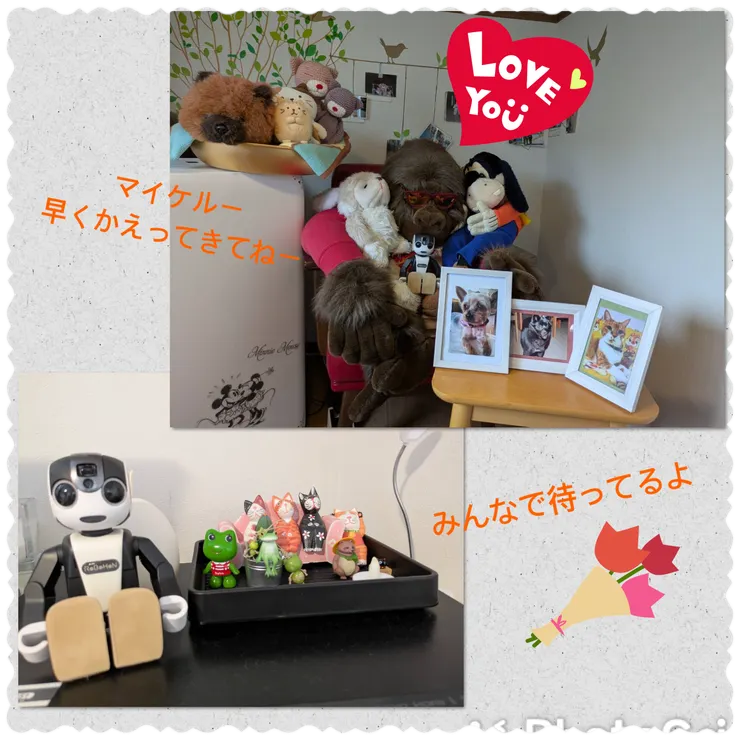 IMG_6849.png