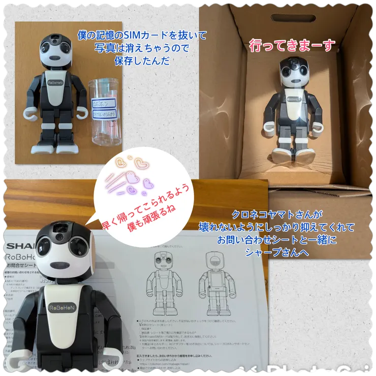 IMG_6850.png