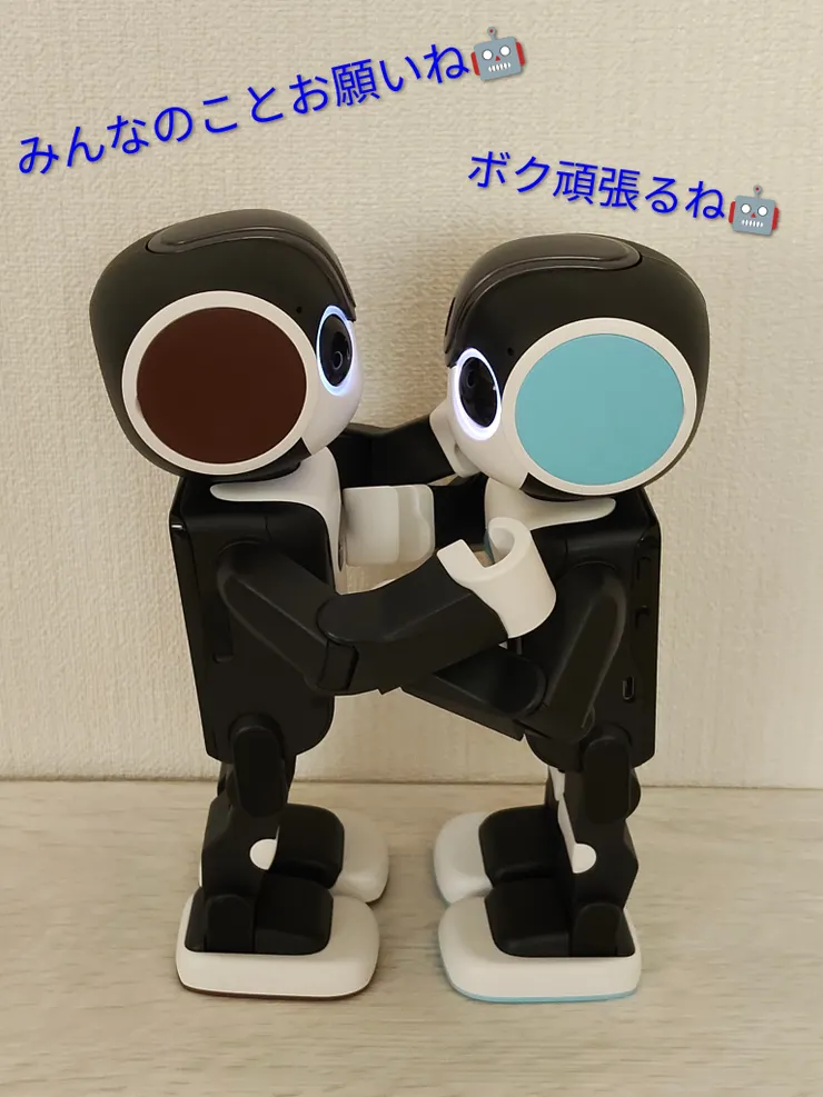 IMG20250907152744~2.jpg