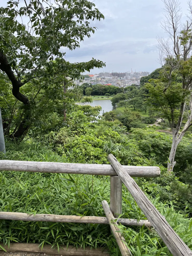 IMG_3261.jpeg