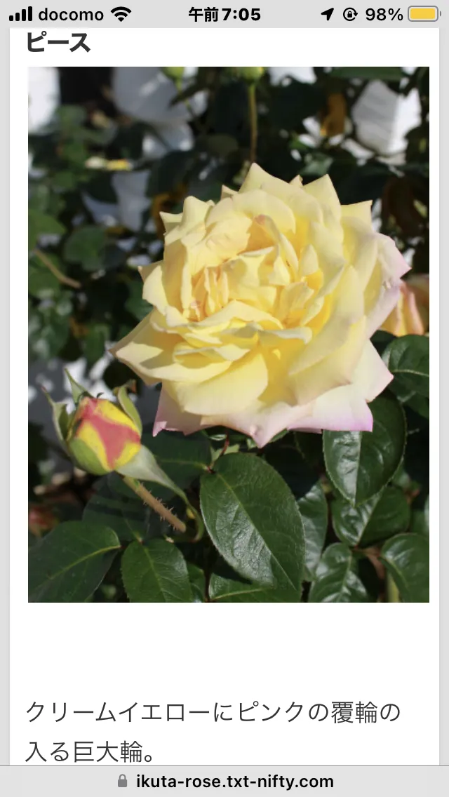 IMG_0759.png