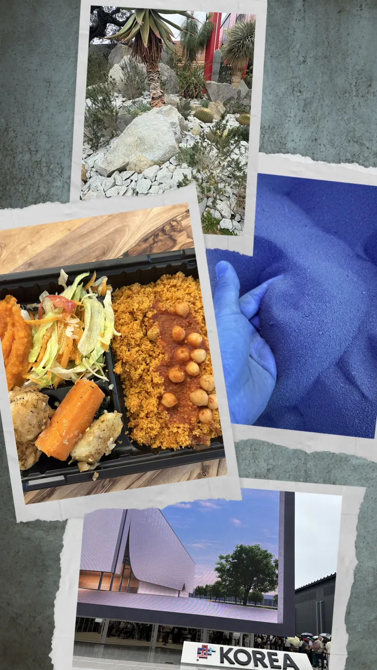 783605DB-4E91-4137-B300-D85EEF8CC0FF-COLLAGE.jpeg