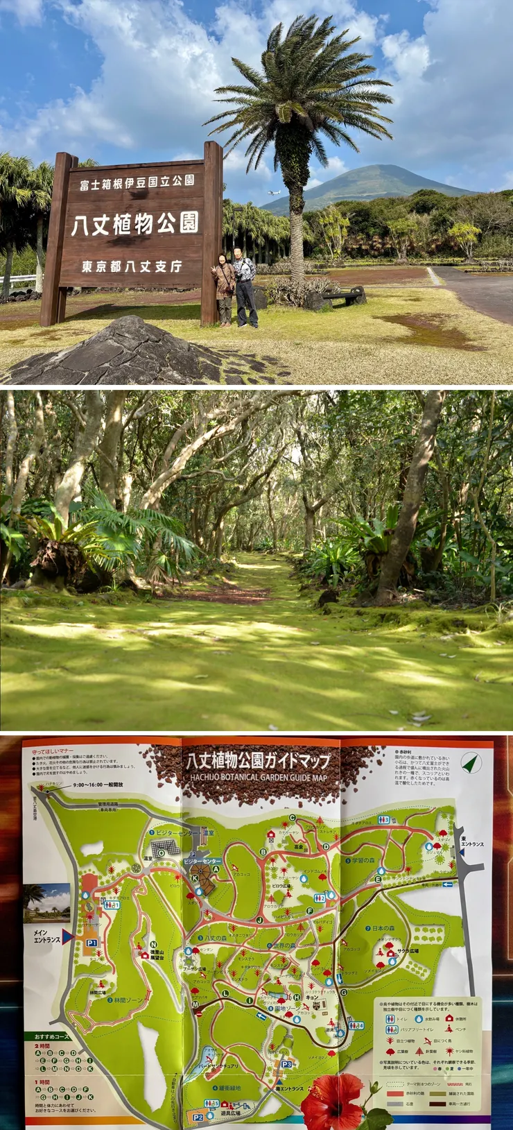 ⑨八丈植物公園.jpg