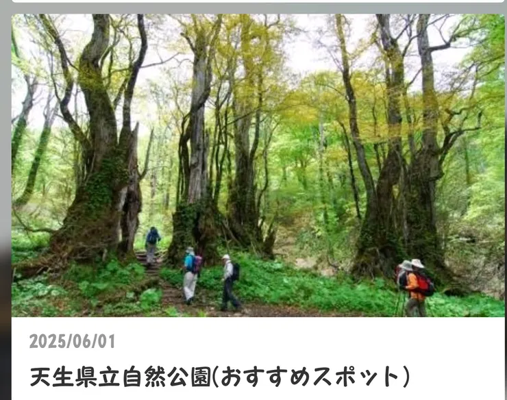 Screenshot_20250610-144556.png
