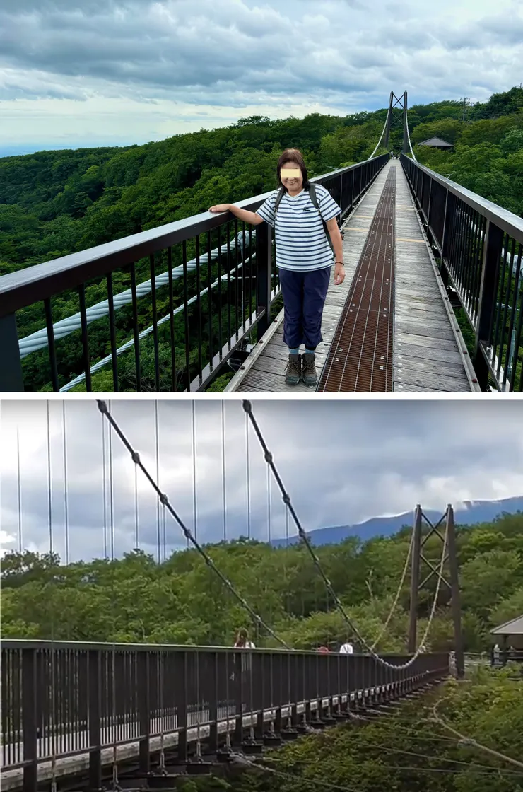 ⑤つつじ吊橋.jpg