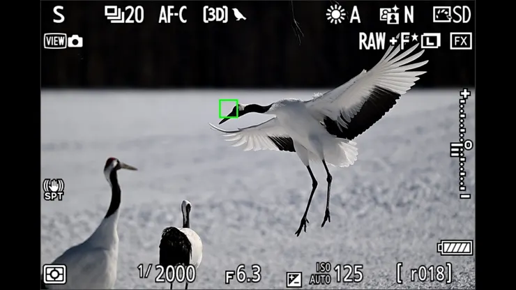 キャプチャー2024-02-07-20h43m57s803.jpg