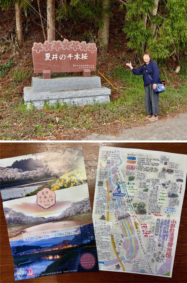 ⑧夏井の千本桜.jpg