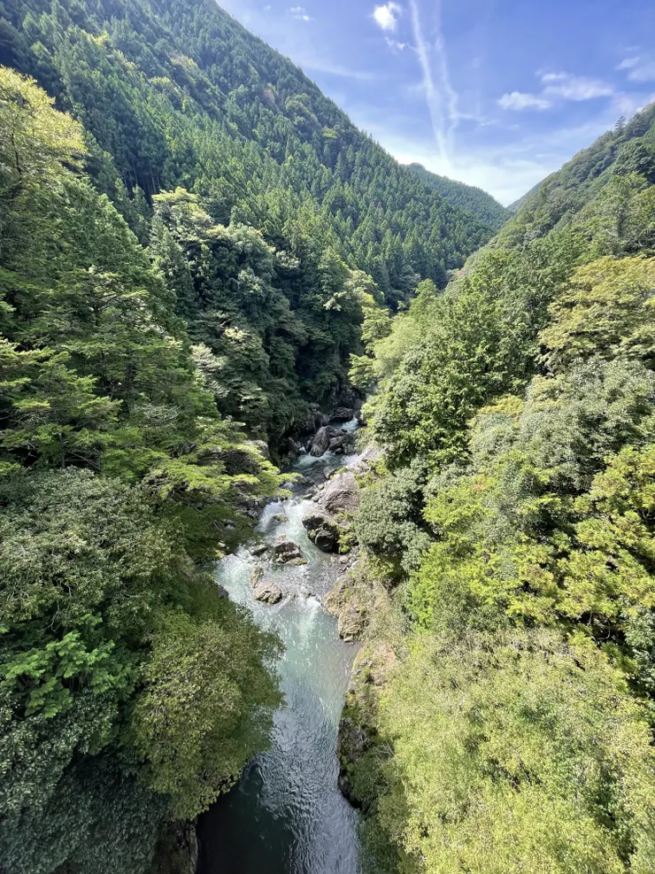 IMG_4191.jpeg