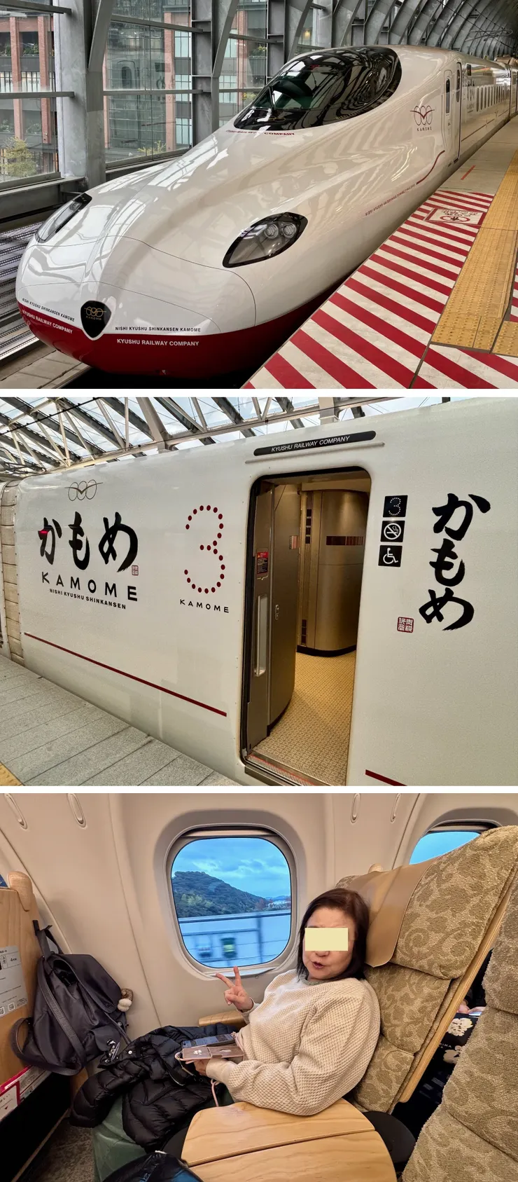 ⑩かもめ.jpg