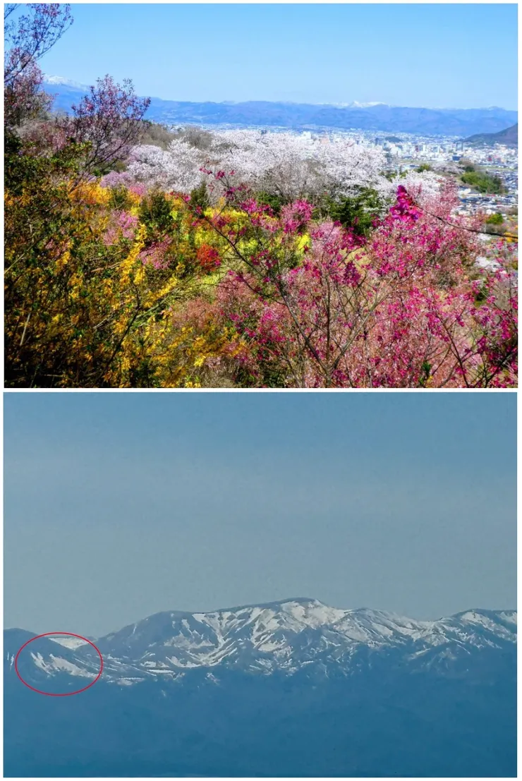 ⑤花見山.jpg