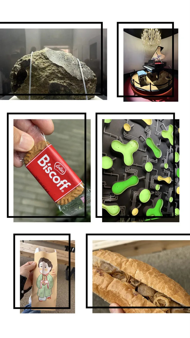 08B8D15C-B77B-44FA-9028-C3FF39071B04-COLLAGE.jpeg