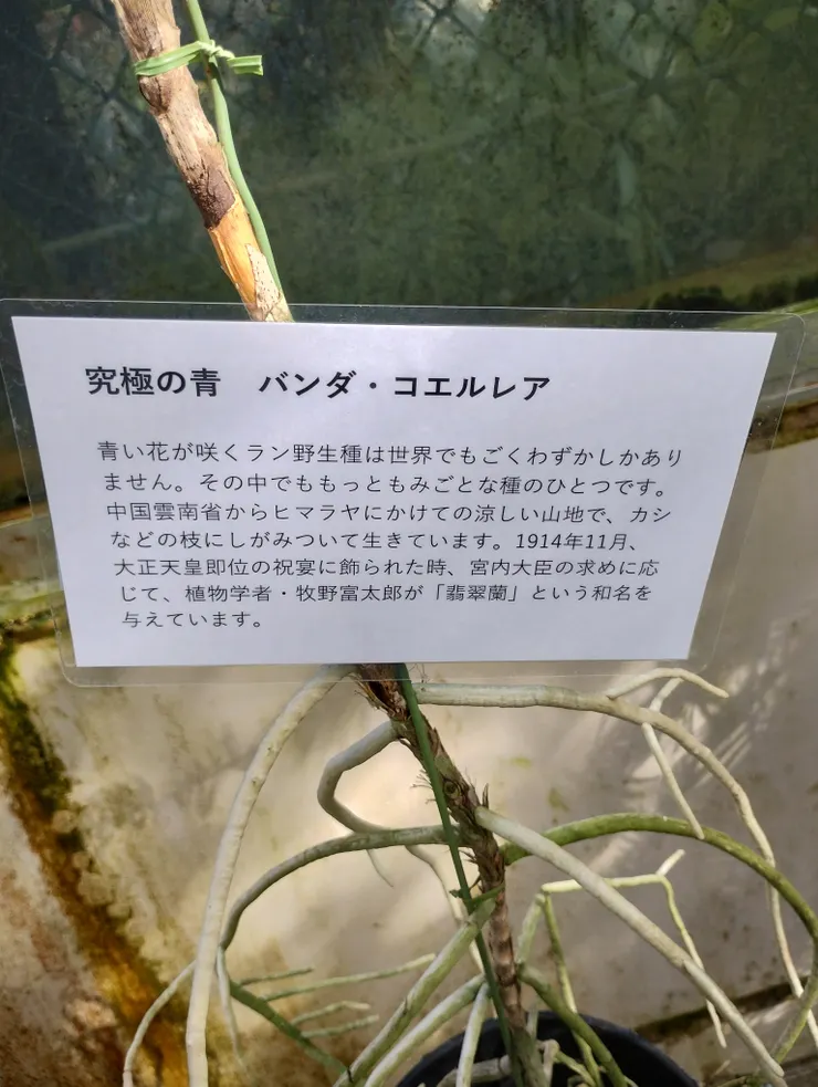IMG_20250210_132853605_HDR.jpg