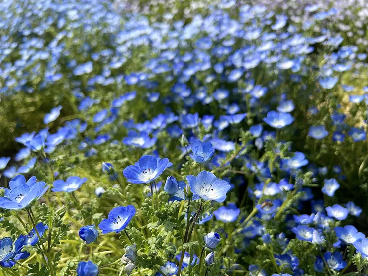 IMG_4494.jpeg