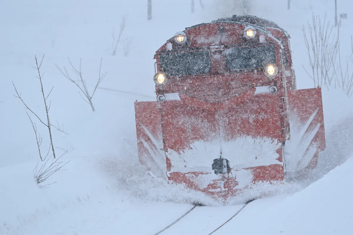 雪を蹴る(過去作4枚組) | PHOTO HUB by nikkor club
