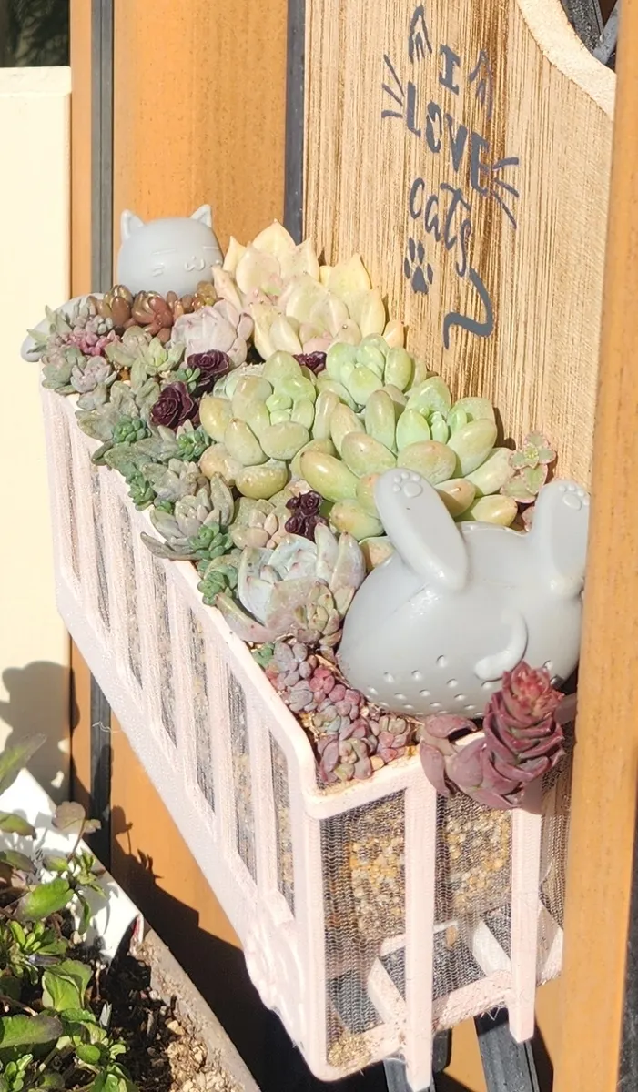 猫ちゃん掛鉢に多肉の寄せ植え | CAINZ DIY Square