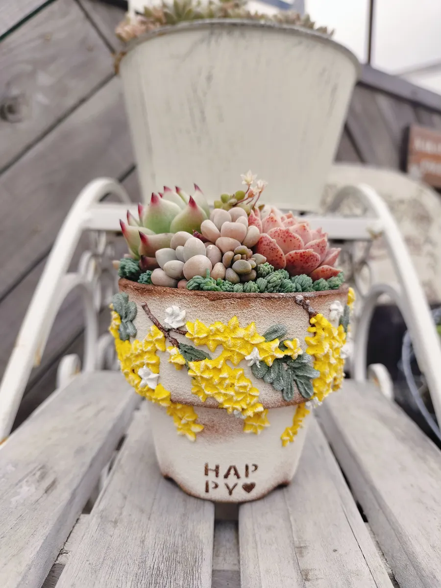 多肉の寄せ植え | CAINZ DIY Square