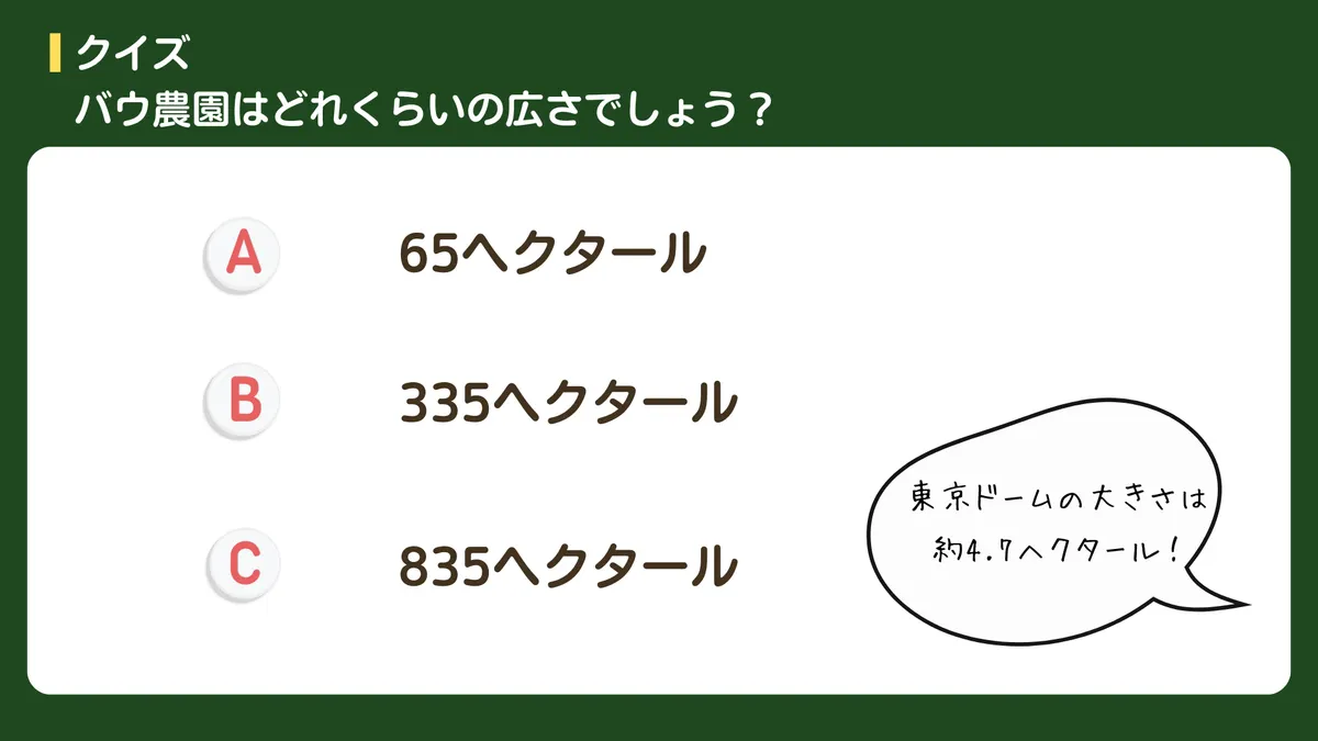 クイズ第一問