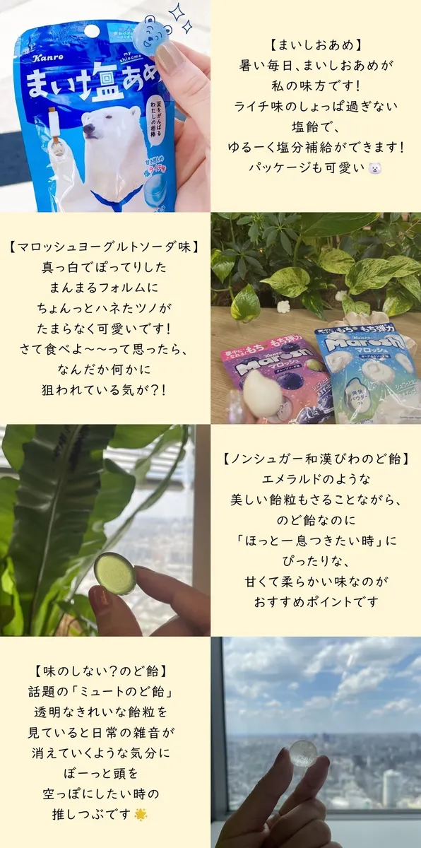 カンロ社員の推しつぶたちその1