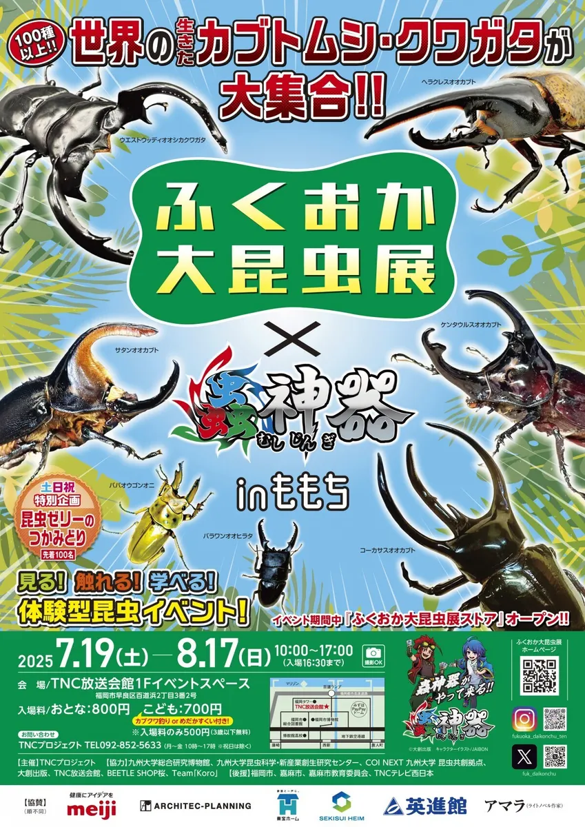 ふくおか大昆虫展
