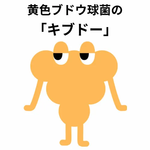 キブドー