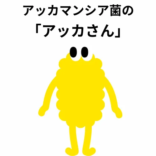アッカさん