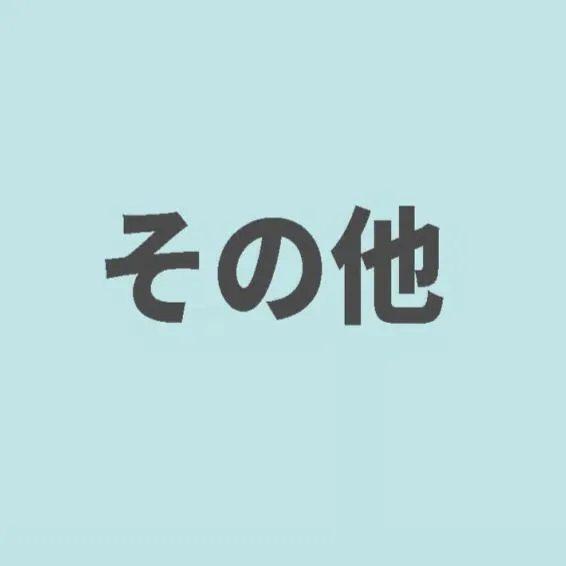 その他