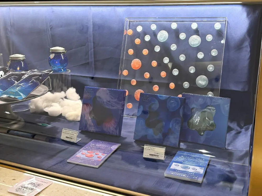 シークラゲグミの写真