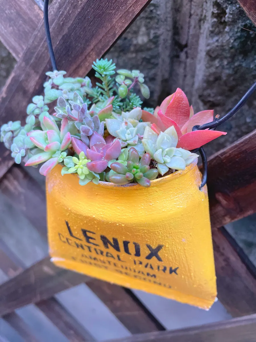 リメ缶Bagに多肉の寄せ植え🎶 | CAINZ DIY Square