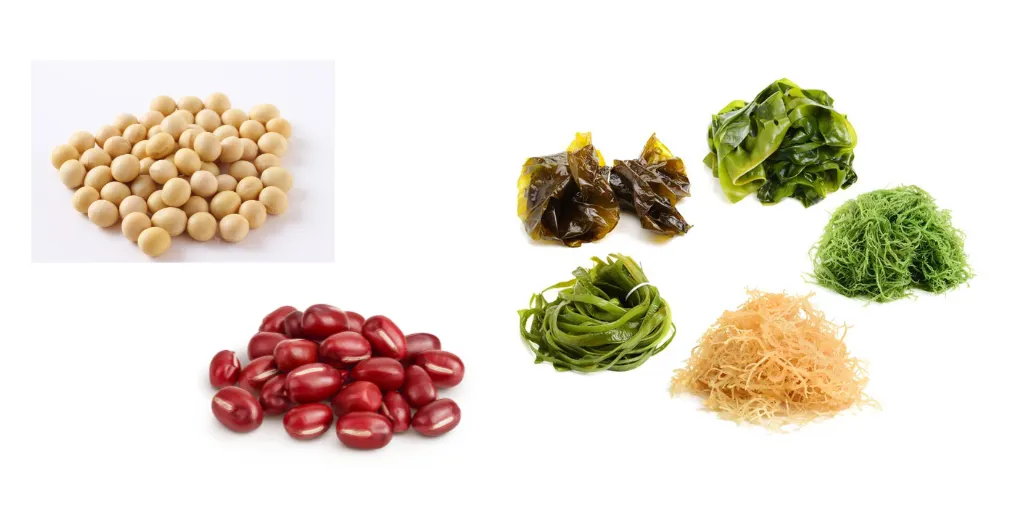 豆類や海藻類