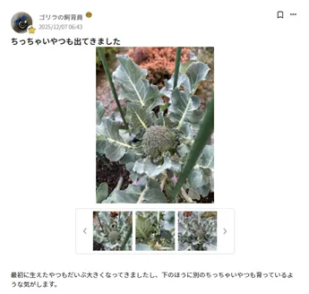 グラフィカル ユーザー インターフェイス, アプリケーション

AI 生成コンテンツは誤りを含む可能性があります。