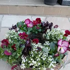 デコパージュのリメ鉢と寄植え💐 | CAINZ DIY Square