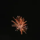 ユーザー画像