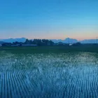 ユーザー画像