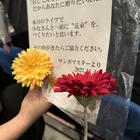 ユーザー画像