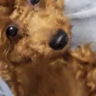 ユーザー画像