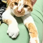 ユーザー画像