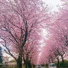 ユーザー画像