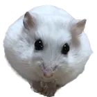 ユーザー画像